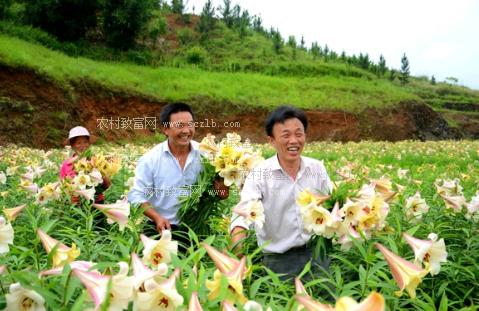 PG电子游戏官网